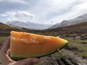 西北吃瓜群,揭秘民间趣味生活圈